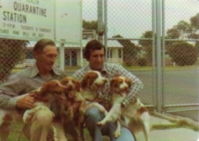 Jack Thompson, Ian Waldron and the first four Brittanys imported into Australia