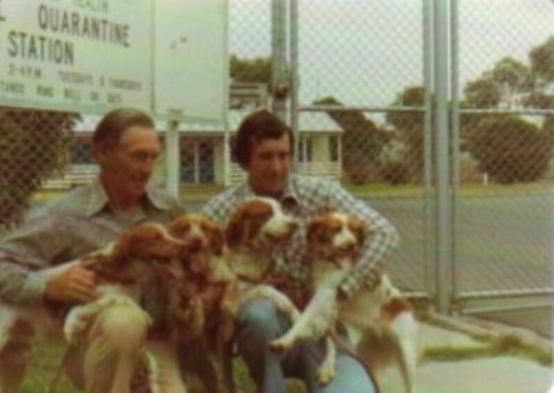 Jack Thompson, Ian Waldron and the first four Brittanys imported into Australia
